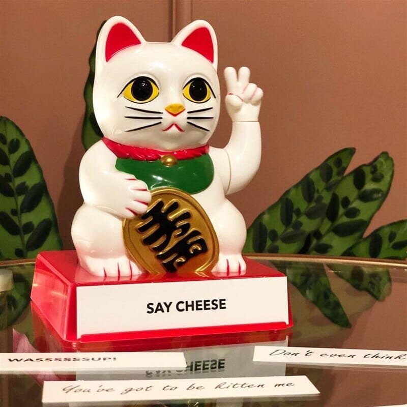 Estatua Engraçada Gato Manekineko Dedo do Meio Bonecos GatoGeek 